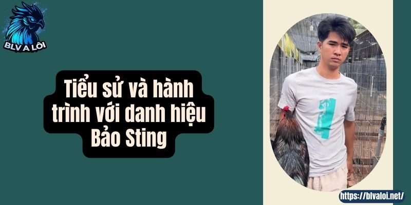 Tiểu sử và hành trình với danh hiệu Bảo Sting