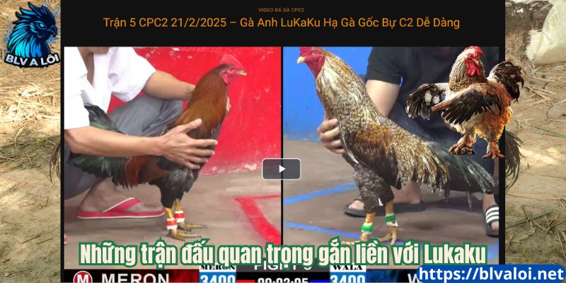 Những trận đấu quan trọng gắn liền với Lukaku