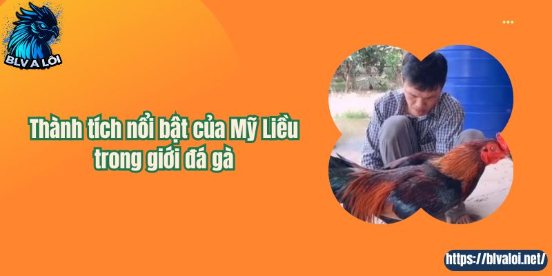 Thành tích nổi bật của Mỹ Liều trong giới đá gà