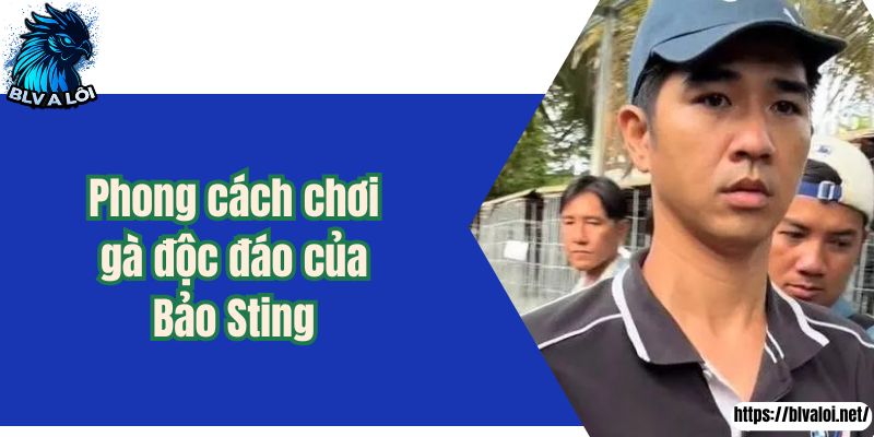 Phong cách chơi gà độc đáo của Bảo Sting