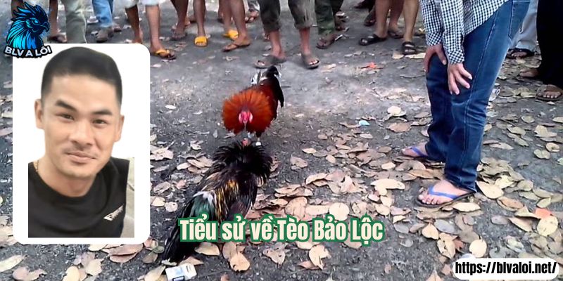Tiểu sử về Tèo Bảo Lộc