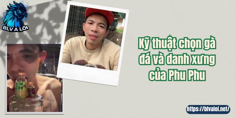 Kỹ thuật chọn gà đá và danh xưng của Phu Phu