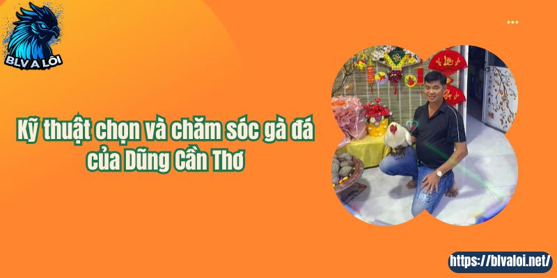Kỹ thuật chọn và chăm sóc gà đá của Dũng Cần Thơ