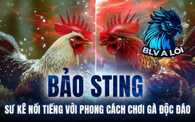 Bảo Sting – Sư kê nổi tiếng với phong cách chơi gà độc đáo
