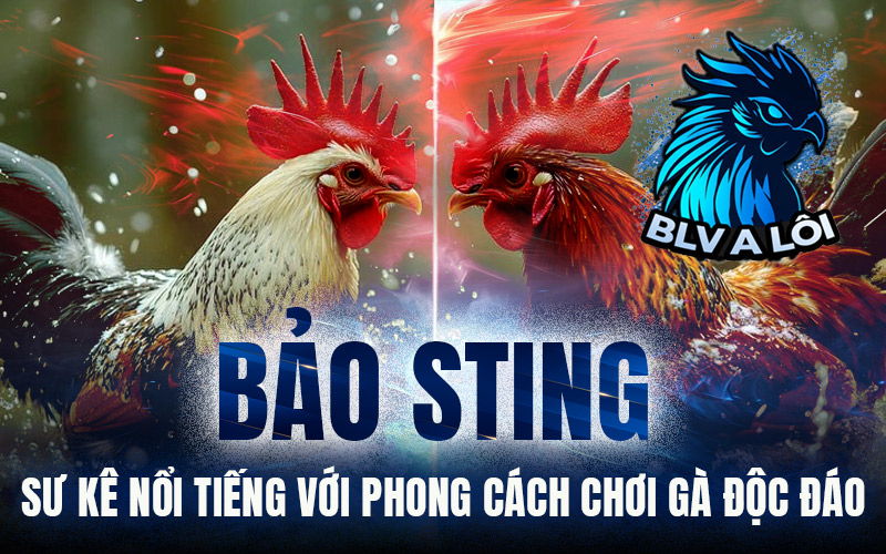 Bảo Sting – Sư kê nổi tiếng với phong cách chơi gà độc đáo