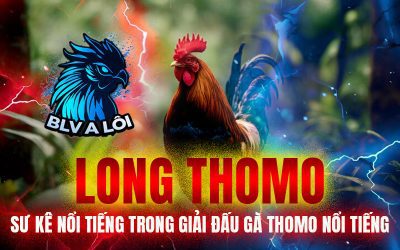 Long Thomo – Sư kê nổi tiếng trong giải đấu gà thomo nổi tiếng
