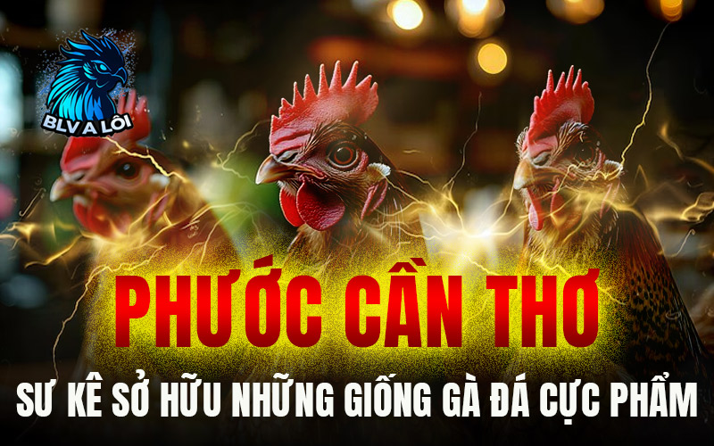 Phước Cần Thơ – Sư kê sở hữu những giống gà đá cực phẩm