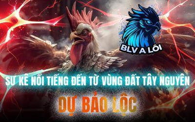 Sư kê nổi tiếng đến từ vùng đất Tây Nguyên – Dự Bảo Lộc
