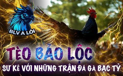 Tèo Bảo Lộc – Sư kê với những trận đá gà bạc tỷ