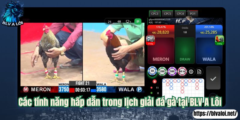 Các tính năng hấp dẫn trong lịch giải đá gà tại BLV A Lôi