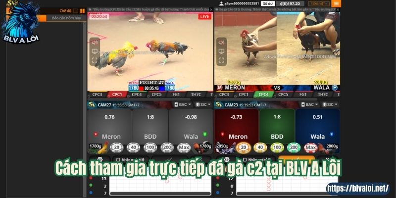 Cách tham gia trực tiếp đá gà c2 tại BLV A Lôi