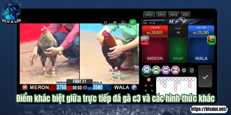 Điểm khác biệt giữa trực tiếp đá gà c3 và các hình thức khác