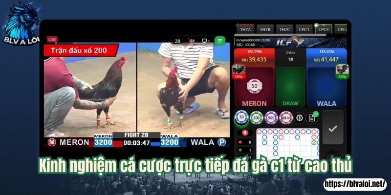 Kinh nghiệm cá cược trực tiếp đá gà c1 từ cao thủ