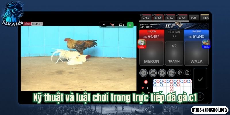 Kỹ thuật và luật chơi trong trực tiếp đá gà c1