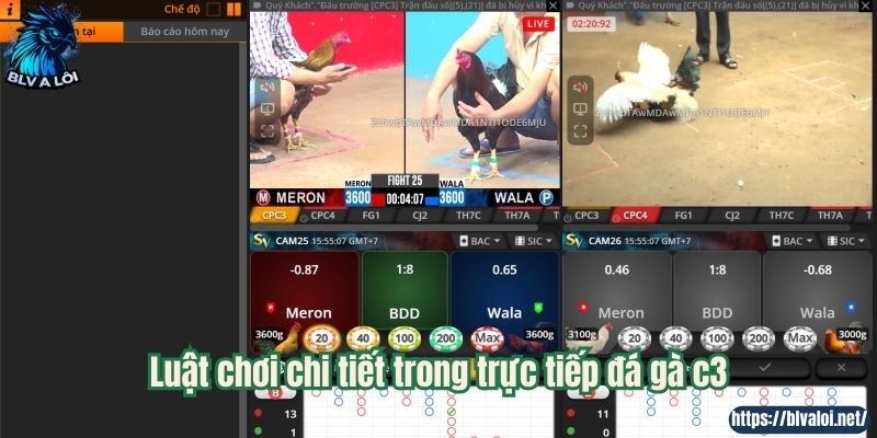 Luật chơi chi tiết trong trực tiếp đá gà c3