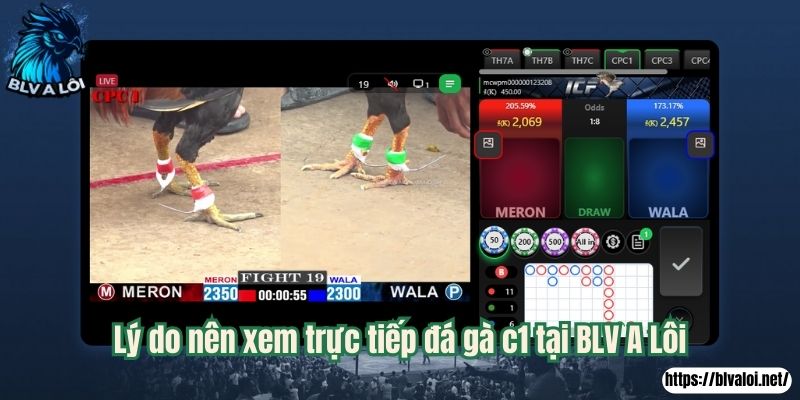 Lý do nên xem trực tiếp đá gà c1 tại BLV A Lôi