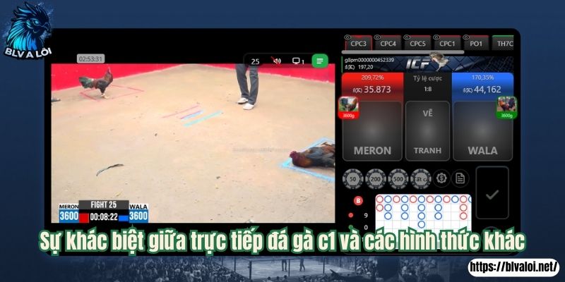 Sự khác biệt giữa trực tiếp đá gà c1 và các hình thức khác