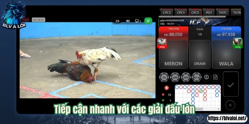Tiếp cận nhanh với các giải đấu lớn