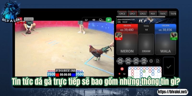 Tin tức đá gà trực tiếp sẽ bao gồm những thông tin gì?