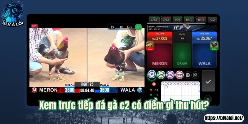 Xem trực tiếp đá gà c2 có điểm gì thu hút?