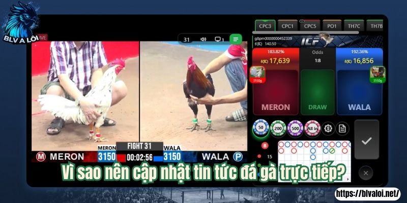 Vì sao nên cập nhật tin tức đá gà trực tiếp?
